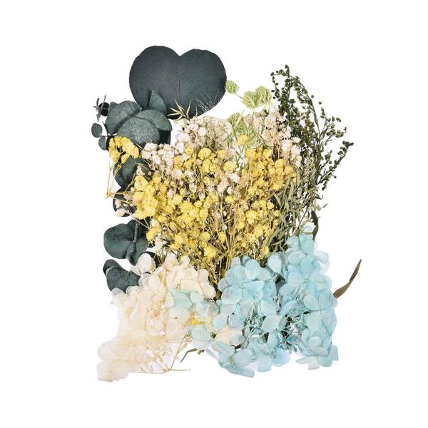 decorative flowers & wreaths natural dried for resin pressed diy dry herbs plants decor suitable make scented candles and greeting improved
decorative flowers & wreaths natural dried for resin pressed diy dry herbs plants decor suitable make scented candles and greeting improved