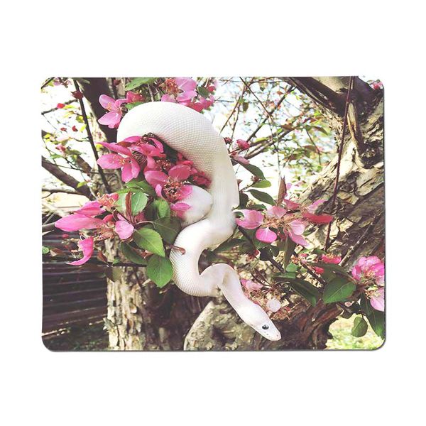 mouse pads & wrist rests small games funny floral snake mousepad gamer dota2 gaming durable non-slip size pad
mouse pads & wrist rests small games funny floral snake mousepad gamer dota2 gaming durable non-slip size pad