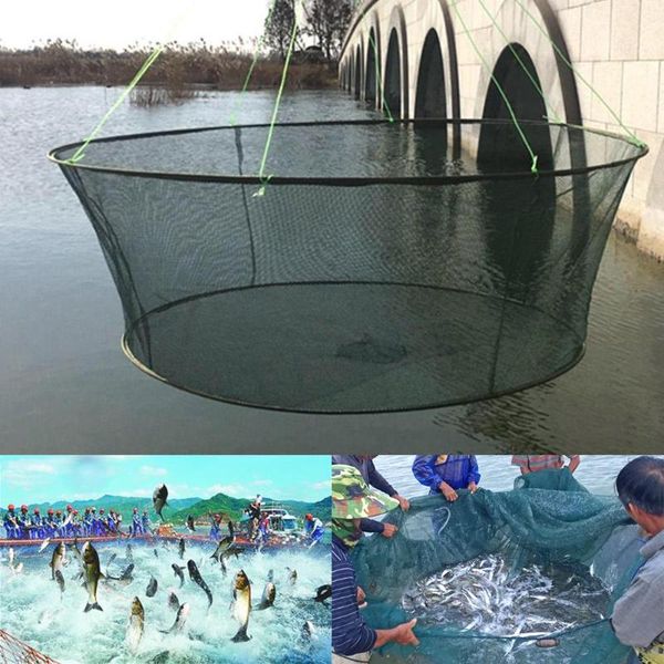 foldable drop net fishing landing prawn bait crab shrimp pier harbour pond mesh jt-889 accessories
foldable drop net fishing landing prawn bait crab shrimp pier harbour pond mesh jt-889 accessories