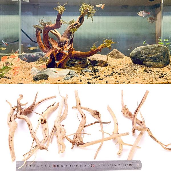 decorations natural wood driftwood tree drift trunk aquarium reptile cylinder fish tank plant ornament landscaping artwork decor
decorations natural wood driftwood tree drift trunk aquarium reptile cylinder fish tank plant ornament landscaping artwork decor