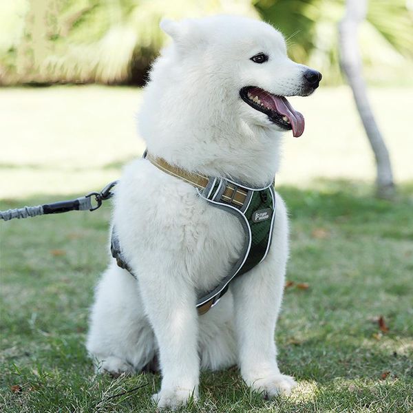 dog collars & leashes nylon chest harness dogs lead adjustable breathable pets leash collar belt puppy for large medium small vests
dog collars & leashes nylon chest harness dogs lead adjustable breathable pets leash collar belt puppy for large medium small vests
