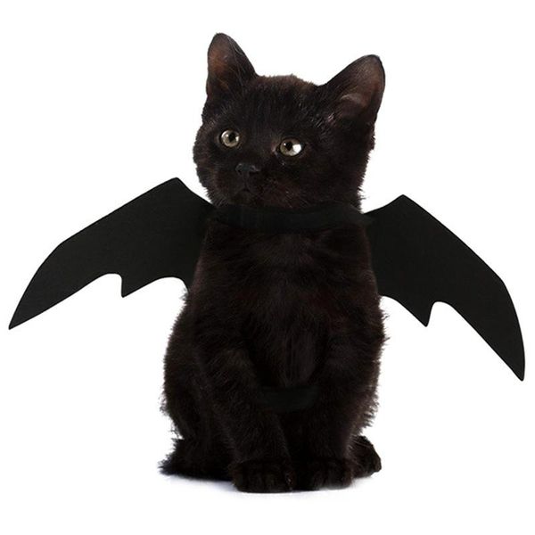 cat costumes halloween cute pet clothes black bat wings harness costume for cosplay dog party supplies he
cat costumes halloween cute pet clothes black bat wings harness costume for cosplay dog party supplies he