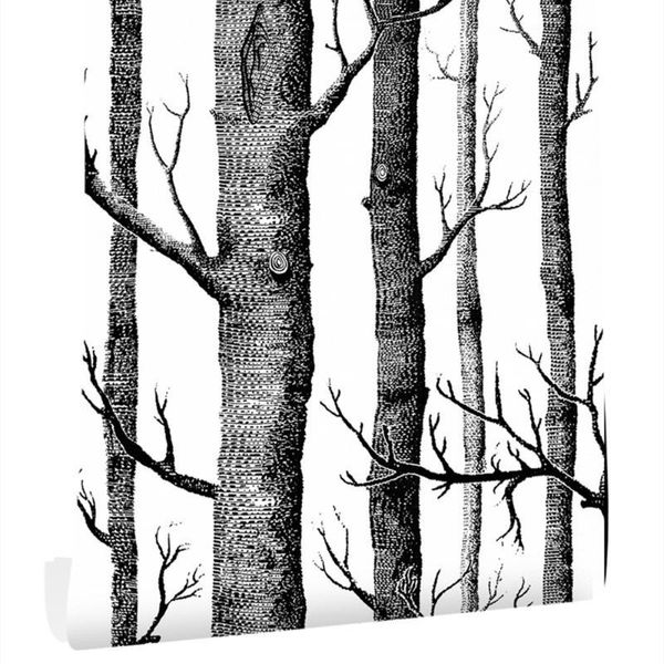 wallpapers birch tree peel and stick wallpaper self adhesive wall covering wood for study background home decortion
wallpapers birch tree peel and stick wallpaper self adhesive wall covering wood for study background home decortion