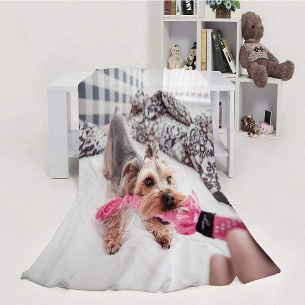 funny playing with yorkie dog at home #2,flannel blanket super soft m cozy bed blanket weight sofa throw blanket 60''x80'
funny playing with yorkie dog at home #2,flannel blanket super soft m cozy bed blanket weight sofa throw blanket 60''x80'