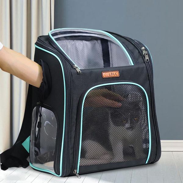 puppy cat carrying bag transparent mesh breathable backpack space pet for dog car seat covers
puppy cat carrying bag transparent mesh breathable backpack space pet for dog car seat covers