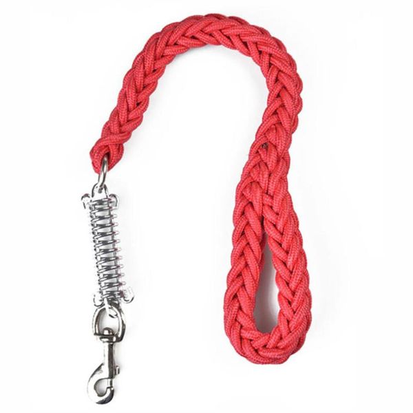 5pcs/lot nylon strong pet dog traction leashes training leads with spring for large dogs collars
5pcs/lot nylon strong pet dog traction leashes training leads with spring for large dogs collars