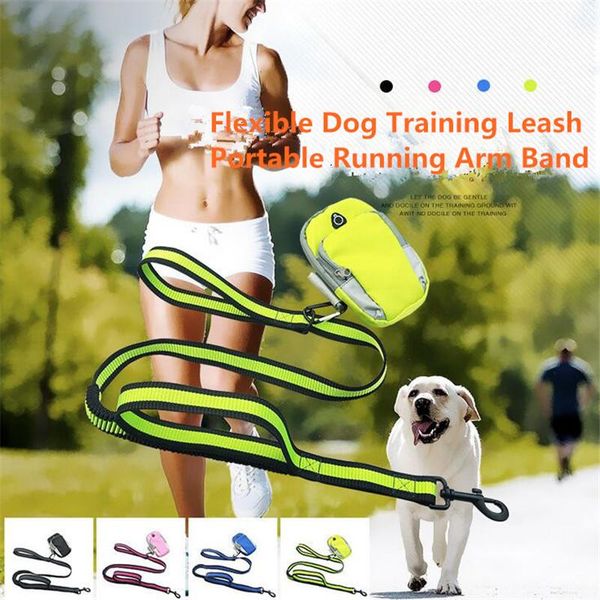 dog collars & leashes elastic training leash+water-repellent sports arm bags portable storage durable running walking leads for small/large
dog collars & leashes elastic training leash+water-repellent sports arm bags portable storage durable running walking leads for small/large