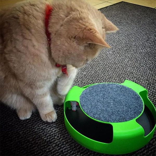 cat toys toy self-hi mousetrap scratch board mouse supplies kitten 
cat toys toy self-hi mousetrap scratch board mouse supplies kitten
