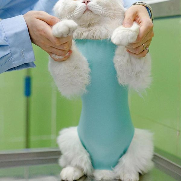 cat costumes professional weaning suit solid color wound recovery cotton anti licking postpartum cloth for pet kitten clothes supplies
cat costumes professional weaning suit solid color wound recovery cotton anti licking postpartum cloth for pet kitten clothes supplies
