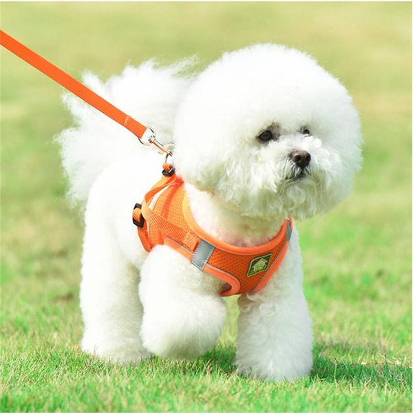 dog harness with traction rope reflective stripe breathable mesh material chest strap pet for small medium cat chihuahua collars & leashes
dog harness with traction rope reflective stripe breathable mesh material chest strap pet for small medium cat chihuahua collars & leashes