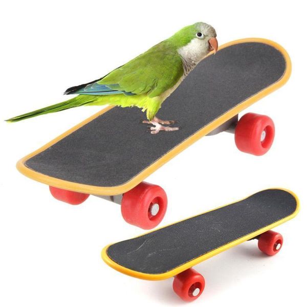 other bird supplies durable parrot intelligence toys mini training skateboard for budgies parakeet growth funny toy grinding claw
other bird supplies durable parrot intelligence toys mini training skateboard for budgies parakeet growth funny toy grinding claw