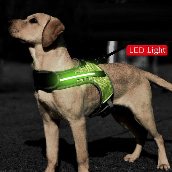 dog collars & leashes outdoor walking pet product for small medium large dogs nylon adjustable harness k9 glowing led vest collar mesh acces
dog collars & leashes outdoor walking pet product for small medium large dogs nylon adjustable harness k9 glowing led vest collar mesh acces