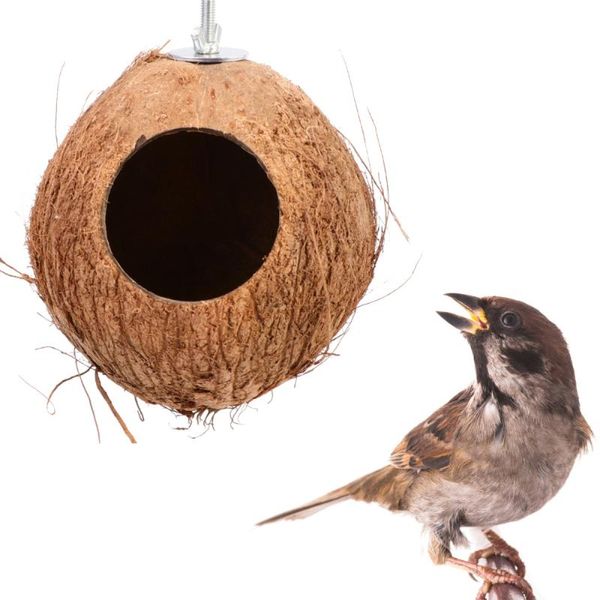coconut shell bird nest classic wide entrance house birds bed feeder for outdoor garden balcony suppli cages
coconut shell bird nest classic wide entrance house birds bed feeder for outdoor garden balcony suppli cages