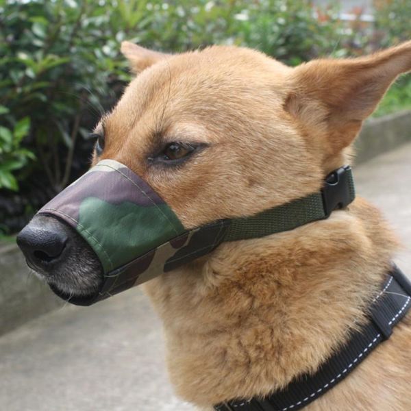 dog apparel adjustable mouth barking prevention small large pet cover breathable puppy training accessories
dog apparel adjustable mouth barking prevention small large pet cover breathable puppy training accessories
