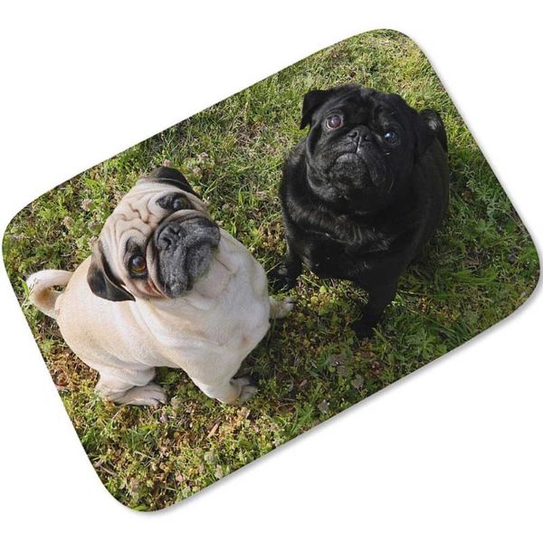 carpets pet shapi dog flannel doormat kitchen bathroom soft comfortable carpet front door mat bat home decor
carpets pet shapi dog flannel doormat kitchen bathroom soft comfortable carpet front door mat bat home decor