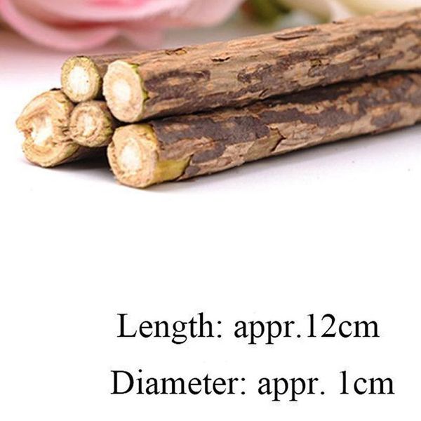 cat toys 5pcs/bag pet matatabi chew catnip stick teeth molar cleaning brush fea889 
cat toys 5pcs/bag pet matatabi chew catnip stick teeth molar cleaning brush fea889
