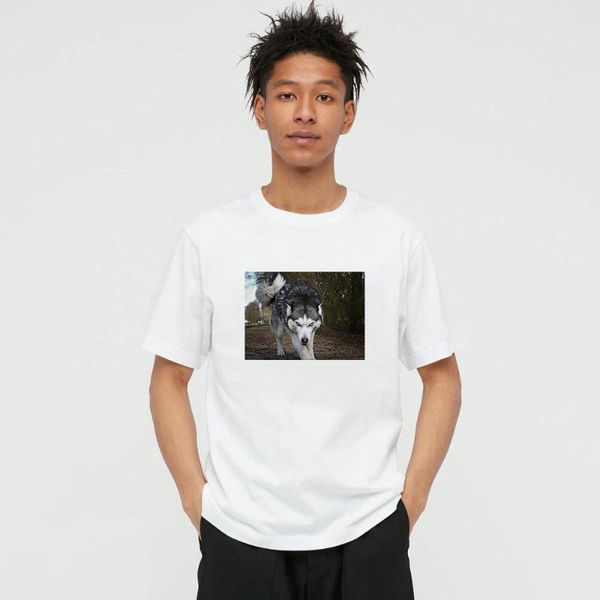 men's t-shirts summer style husky dog po 100% cotton mens and women's t-shirt casual o-neck short sleeve tees for men 22b22w, White;black
men's t-shirts summer style husky dog po 100% cotton mens and women's t-shirt casual o-neck short sleeve tees for men 22b22w, White;black