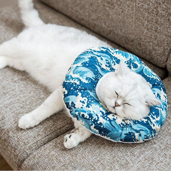 dog collars & leashes pet cat collar adjustable e-collar inflatable health vet approved elizabethan wound healing soft cone
dog collars & leashes pet cat collar adjustable e-collar inflatable health vet approved elizabethan wound healing soft cone