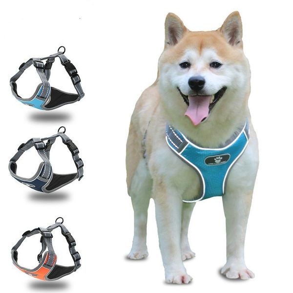 dog collars & leashes medium large harness collar perro grande collares para perros obroza dla psa honden halsband pies akcesoria guinzaglio
dog collars & leashes medium large harness collar perro grande collares para perros obroza dla psa honden halsband pies akcesoria guinzaglio