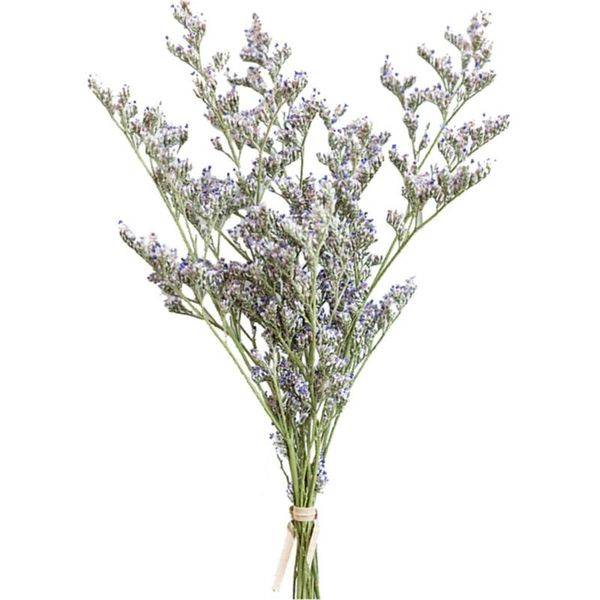 decorative flowers & wreaths 45-50cm dried lover grass flower bouquet for wedding decor diy craft ornament
decorative flowers & wreaths 45-50cm dried lover grass flower bouquet for wedding decor diy craft ornament