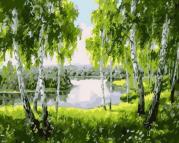 paintings unframe diy picture oil painting by numbers paint number for home decor canvas 5065cm birch on the riverside
paintings unframe diy picture oil painting by numbers paint number for home decor canvas 5065cm birch on the riverside