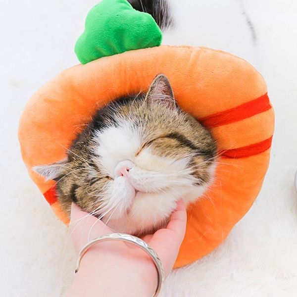 cat carriers,crates & houses recovery collar pet dog neck cone for anti-bite lick wound healing protective cats
cat carriers,crates & houses recovery collar pet dog neck cone for anti-bite lick wound healing protective cats