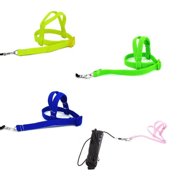 other bird supplies 2m anti bite flying training rope parrot leash ultralight harnesses band qw
other bird supplies 2m anti bite flying training rope parrot leash ultralight harnesses band qw