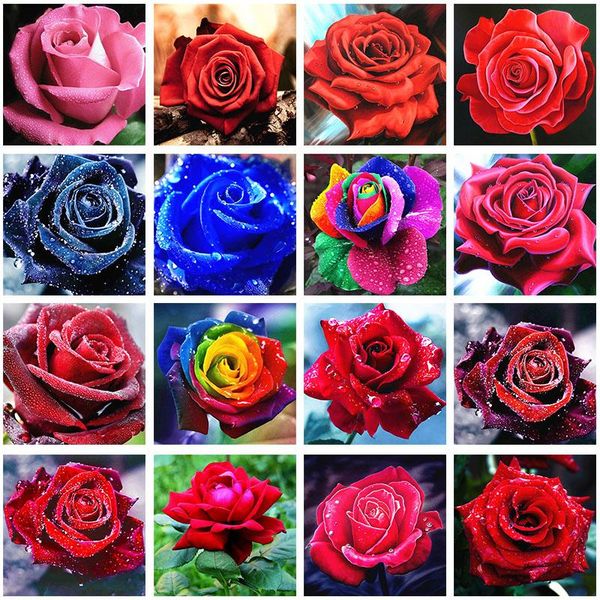 diamond painting 5d diy cross stitch red rose embroidery mosaic handmade full square round drill room wall decoration craft gift
diamond painting 5d diy cross stitch red rose embroidery mosaic handmade full square round drill room wall decoration craft gift