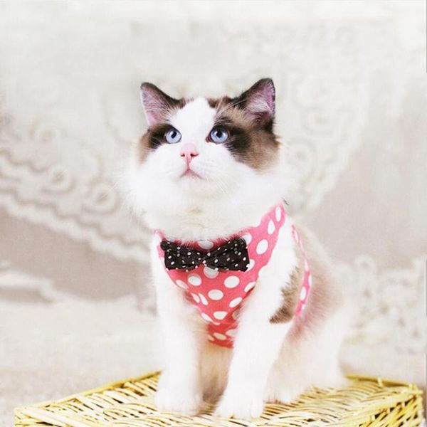 cat collars & leads 2021 summer dog clothing protect pet vest polyester dot harness soft breathable walking
cat collars & leads 2021 summer dog clothing protect pet vest polyester dot harness soft breathable walking