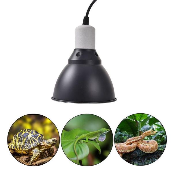 reptile shade uvb heating light cover aluminum ceramic lamp for warm keeping lawn lamps
reptile shade uvb heating light cover aluminum ceramic lamp for warm keeping lawn lamps