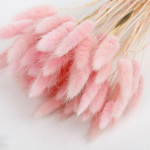 decorative flowers & wreaths 30pcs/bunch pink/white tail grass bouquet natural dried plants floral bouquets for wedding home decorati
decorative flowers & wreaths 30pcs/bunch pink/white tail grass bouquet natural dried plants floral bouquets for wedding home decorati