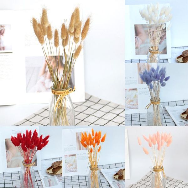 dried flower bouquet artificial lagurus ovatus decoration for home el wedding adw889 decorative flowers & wreaths
dried flower bouquet artificial lagurus ovatus decoration for home el wedding adw889 decorative flowers & wreaths