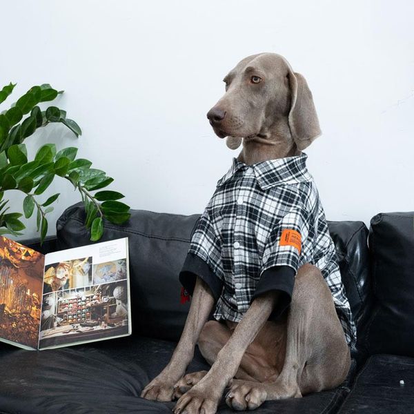 large dog clothes labrador golden retriever samoyed husky spring and autumn shirt check coats jacket apparel
large dog clothes labrador golden retriever samoyed husky spring and autumn shirt check coats jacket apparel