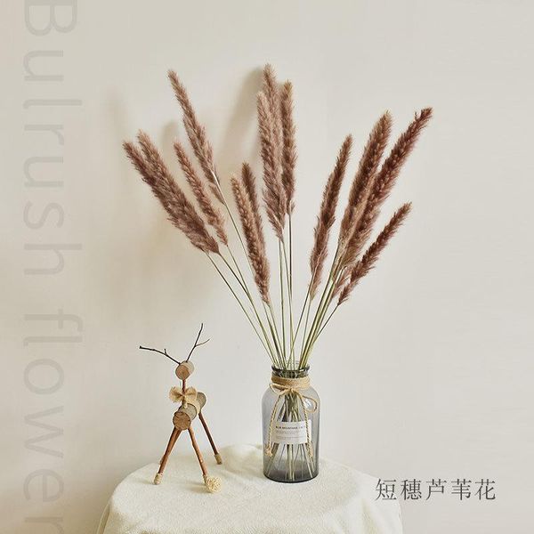 decorative flowers & wreaths real dried reed plant bouquet home wedding decoration table flores preservadas natural pampas grass decor for r
decorative flowers & wreaths real dried reed plant bouquet home wedding decoration table flores preservadas natural pampas grass decor for r