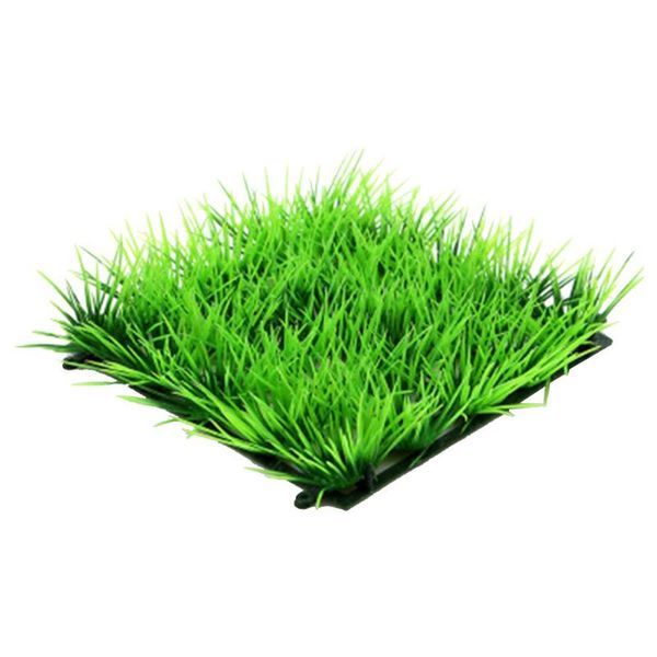 decorations artificial water green grass fine needles lawn aquarium fish tank decoration simulation coral
decorations artificial water green grass fine needles lawn aquarium fish tank decoration simulation coral