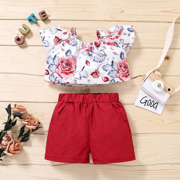 floral printed kids sets toddler baby girls clothes sleeve shorts outfits children's clothing, White
floral printed kids sets toddler baby girls clothes sleeve shorts outfits children's clothing, White