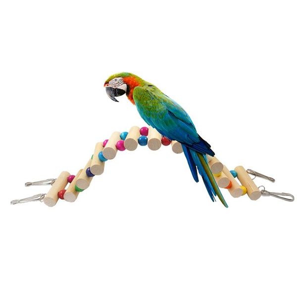 other bird supplies wood hanging pet ladders parrot lovebird cage climbing standing swing chew toy .6
other bird supplies wood hanging pet ladders parrot lovebird cage climbing standing swing chew toy .6