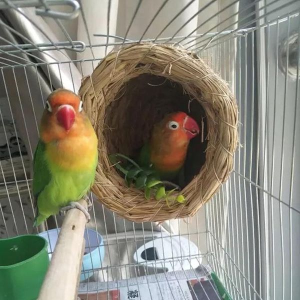 bird cages handmade nest straw pet pigeon farm animals house parrot rat hamster breeding winter warmer
bird cages handmade nest straw pet pigeon farm animals house parrot rat hamster breeding winter warmer