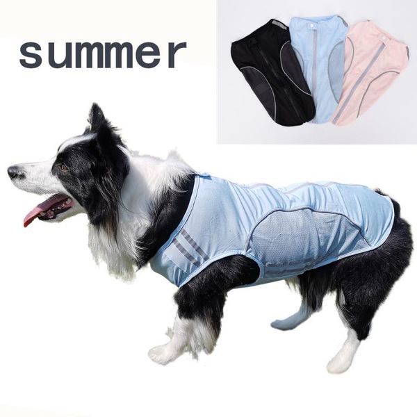 spring and summer thin dog clothes reflective breathable mesh pet cloth clothing ropa perro yorkie apparel
spring and summer thin dog clothes reflective breathable mesh pet cloth clothing ropa perro yorkie apparel