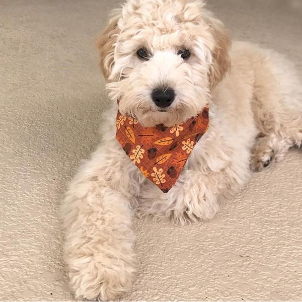 dog apparel personalized bandana, scarf, fall autumn leaves bandana for dogs doggies gift, accessory, fun pet lover
dog apparel personalized bandana, scarf, fall autumn leaves bandana for dogs doggies gift, accessory, fun pet lover