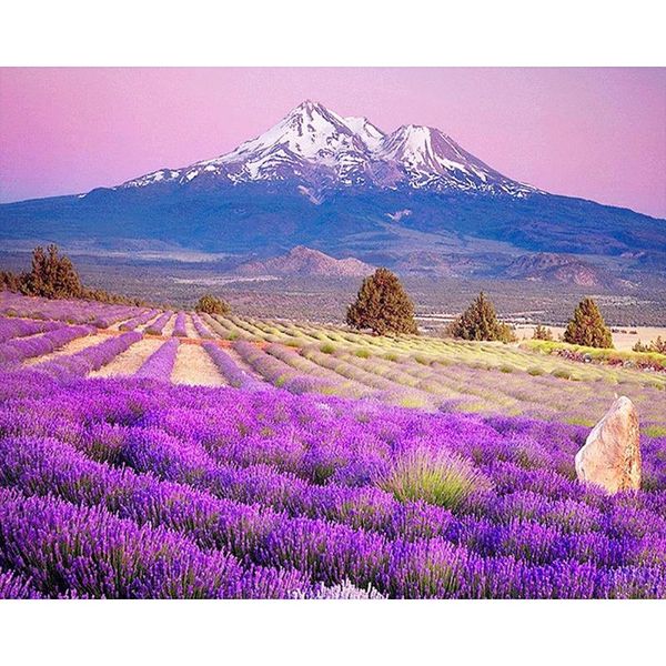 diamond painting 5d diy embroidered full square mosaic lavender painted cross rhinestone
diamond painting 5d diy embroidered full square mosaic lavender painted cross rhinestone
