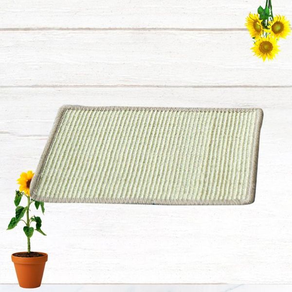 creative cat sisal mat scratching board claw grind cushion cats training sleeping pet home supplies (random color, toys
creative cat sisal mat scratching board claw grind cushion cats training sleeping pet home supplies (random color, toys