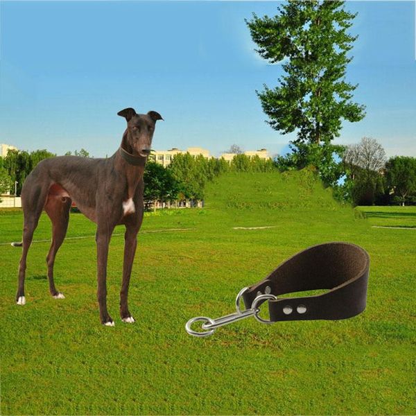 whippet dog collar leather greyhound collars lurcher saluki soft padded small medium large brown 30-36cm & leashes
whippet dog collar leather greyhound collars lurcher saluki soft padded small medium large brown 30-36cm & leashes