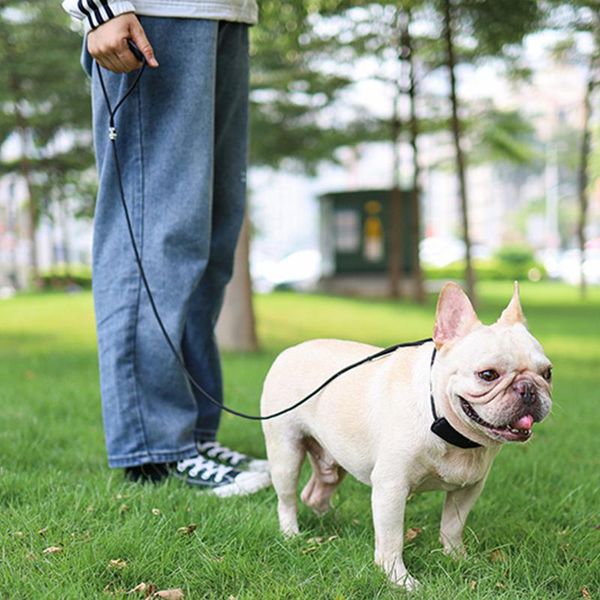 dog rope leash with padded handle for small medium dogs traction walking training collars & leashes
dog rope leash with padded handle for small medium dogs traction walking training collars & leashes