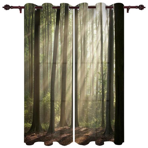 window curtains forest sunlight nature living room closet kitchen bedroom translucent cotton and linen curtain & drapes
window curtains forest sunlight nature living room closet kitchen bedroom translucent cotton and linen curtain & drapes