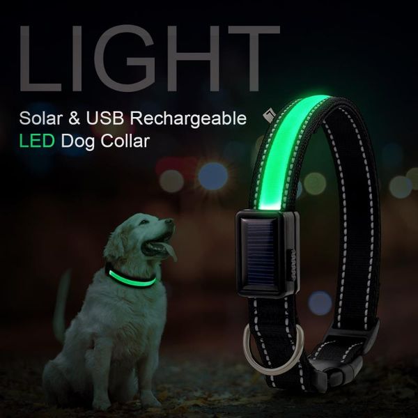 dog collars & leashes solar and usb rechargeable led collar nylon reflective for dogs
dog collars & leashes solar and usb rechargeable led collar nylon reflective for dogs