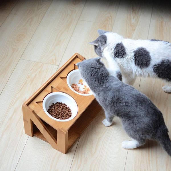 cat bowls & feeders raised pet bowl for cats and small dogs adjustable elevated dog water stand feeder with 2 ceramic
cat bowls & feeders raised pet bowl for cats and small dogs adjustable elevated dog water stand feeder with 2 ceramic
