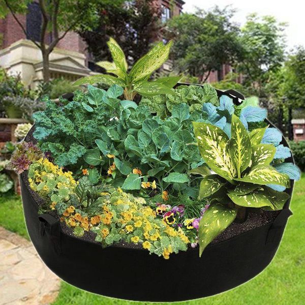 felt planting bucket bag garden round vegetable seedling nutrition plant tool planters & pots
felt planting bucket bag garden round vegetable seedling nutrition plant tool planters & pots