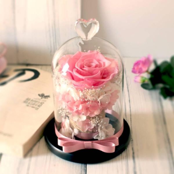 eternal preserved rose with glass dome cover beautiful immortal elegant wedding home decorations birthday gifts decorative flowers & wreaths
eternal preserved rose with glass dome cover beautiful immortal elegant wedding home decorations birthday gifts decorative flowers & wreaths