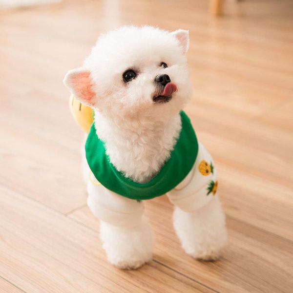 2021 new autumn / winter sweater dog coats & jacke small dog stereo pineapple backpack lovely breathable cat cat pet clothes
2021 new autumn / winter sweater dog coats & jacke small dog stereo pineapple backpack lovely breathable cat cat pet clothes